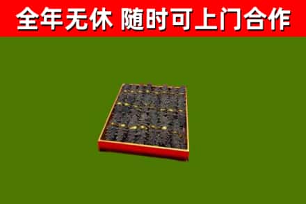 石龙镇回收海参